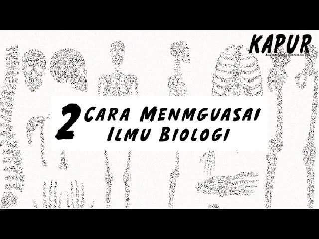 Bagaimana Cara Belajar Biologi yang Efektif ?