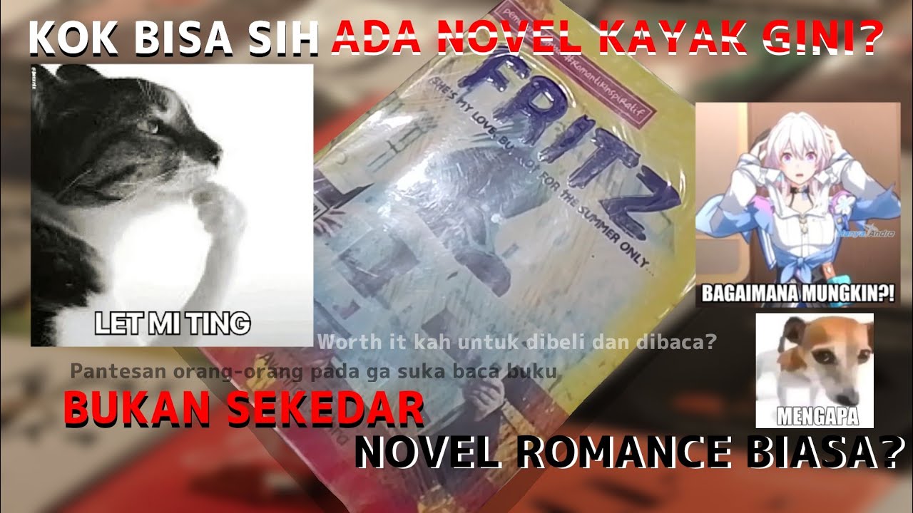 Liburan Musim Panas Yang Berkesan-FRIZT-Lomba Resensi Buku Wonogiri 2026 #lombaresensidaknf2026