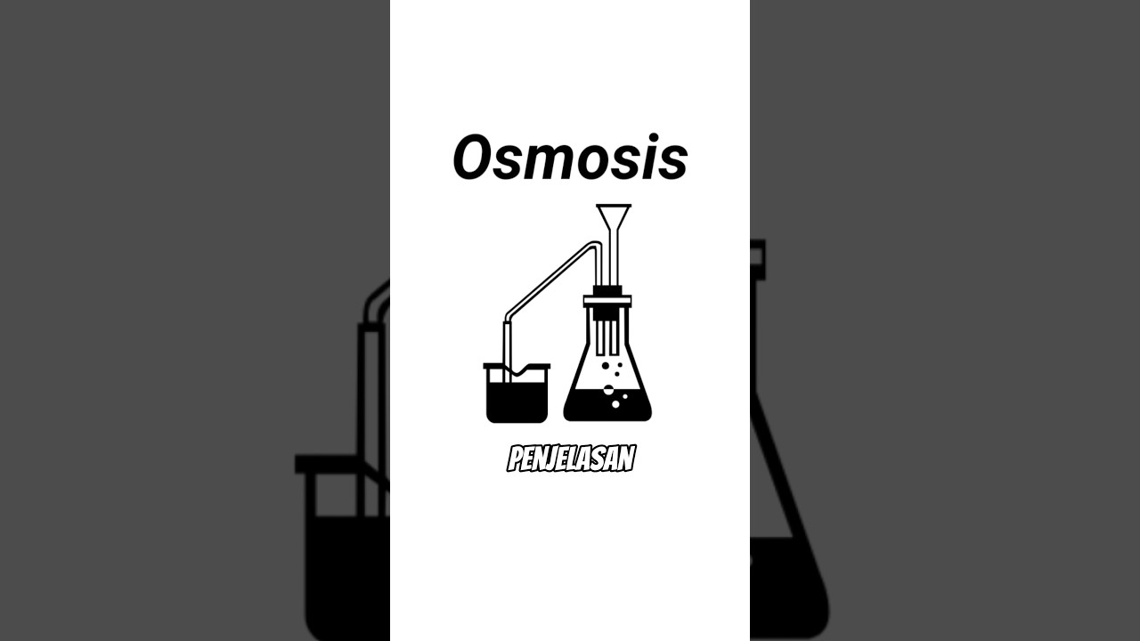 Osmosis ▶️ Transportasi Pasif/Zat | Biologi (Kelas X, Kurikulum Merdeka) 🌊