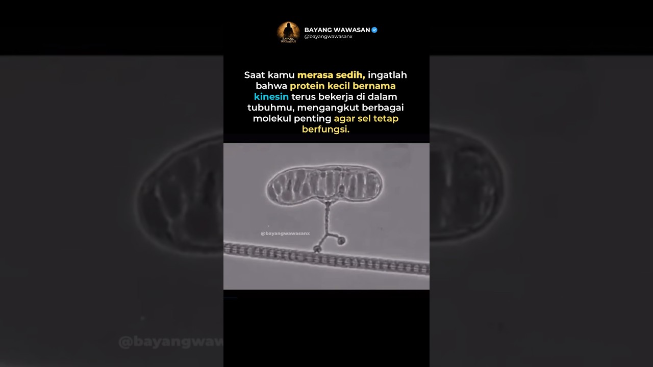 Jangan Lupa Untuk Selalu Bersyulur😇